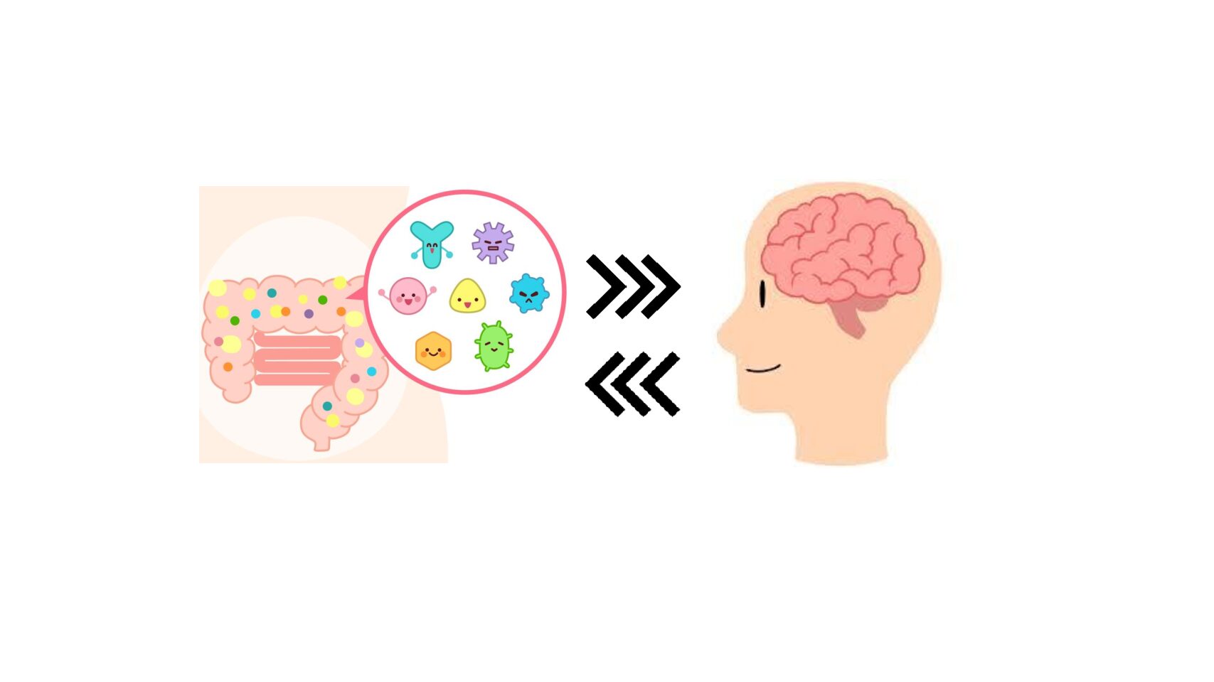 もの忘れと腸内細菌叢 - 健康院クリニック | 「予防医療」の医療機関